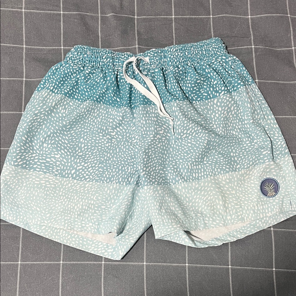 Chubbies Teal and White Patterned Board Shorts